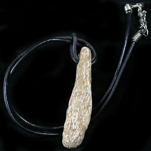 Colorado Agatized Dinosaur Bone Necklace #26985